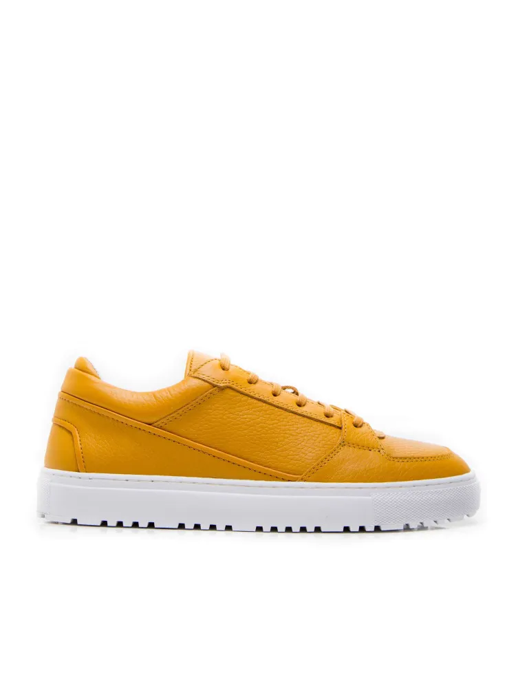 Etq Low Sneaker | Credomen