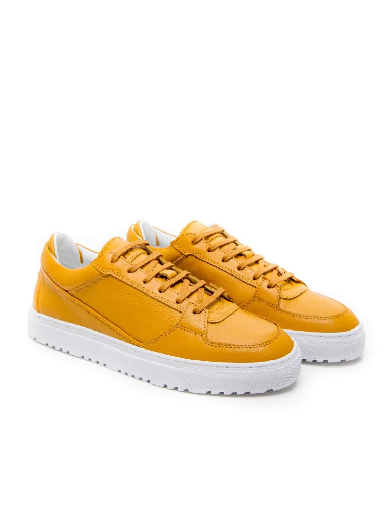 Etq Low Sneaker | Credomen