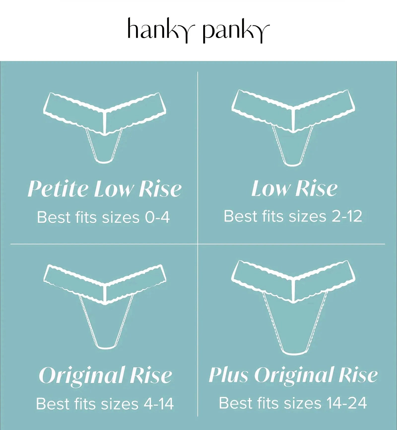 Hanky Panky 3-PACK Signature Lace Low Rise Thong (49113PK) - Brush Stroke