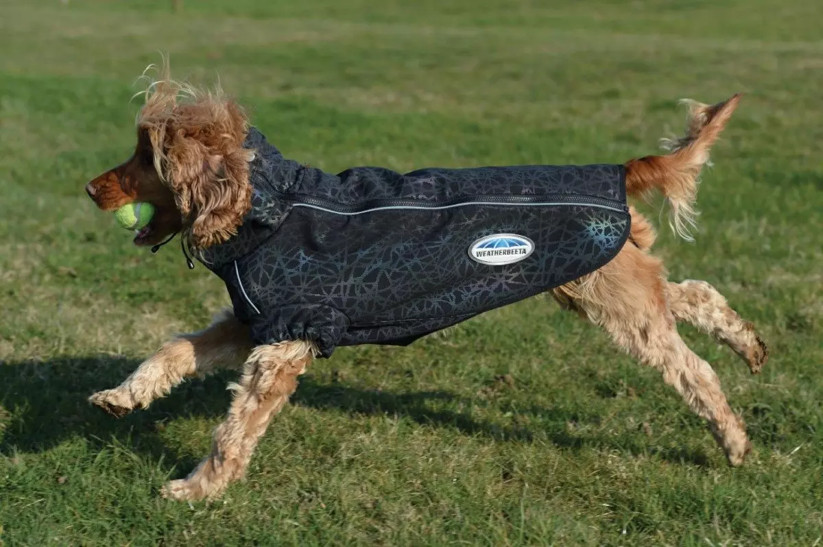 Weatherbeeta Comfitec Reflective Print Active Dog Coat